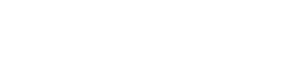 Logo Lightning Spain